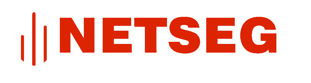 logo NETSEG 3